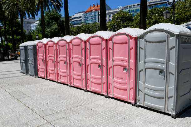 Best Portable Toilets with Baby Changing Stations  in Ladonia, AL